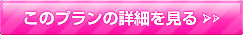 このプランの詳細を見る