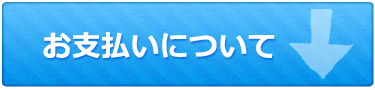 お支払いについて
