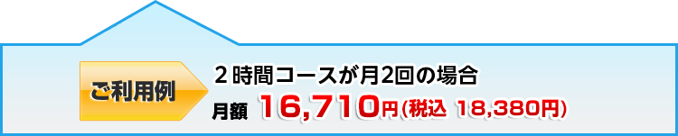 ご利用例
