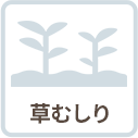 草むしり