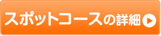 スポットコースの詳細